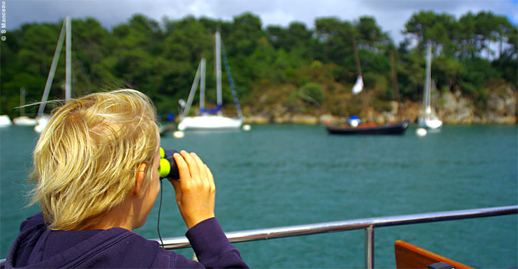 Golfe du Morbihan